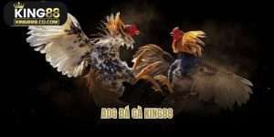 Sảnh AOG Đá Gà King88 - Địa Chỉ Của Các Trận Đấu Nảy Lửa 