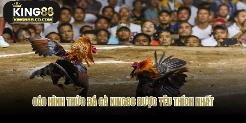 Các hình thức đá gà King88 được yêu thích nhất