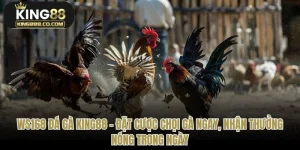 Ws168 Đá Gà King88 – Đặt Cược Chọi Gà Ngay, Nhận Thưởng Nóng Trong Ngày