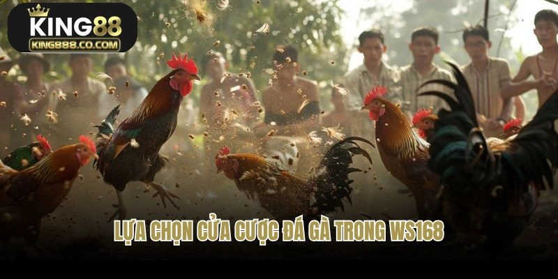 Lựa chọn cửa cược đá gà trong Ws168
